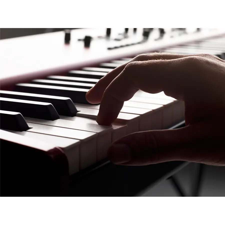 38-nord-piano-3-88-15700011_3