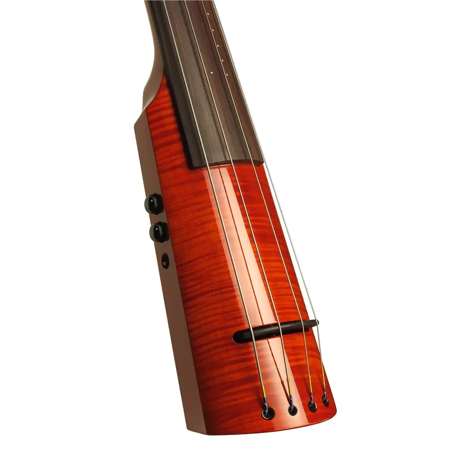 39-ns-design-wav4-electric-upright-bass-4-amberbust-10800246_2