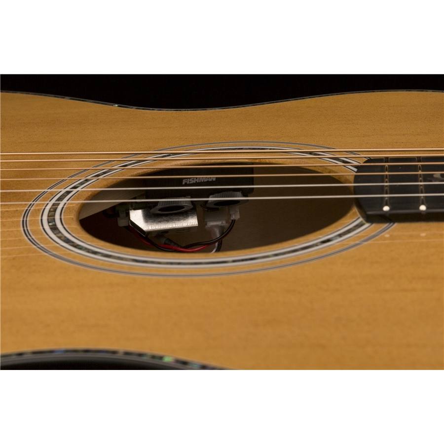 42-prs-se-a50e-black-gold-burst-24000135_3