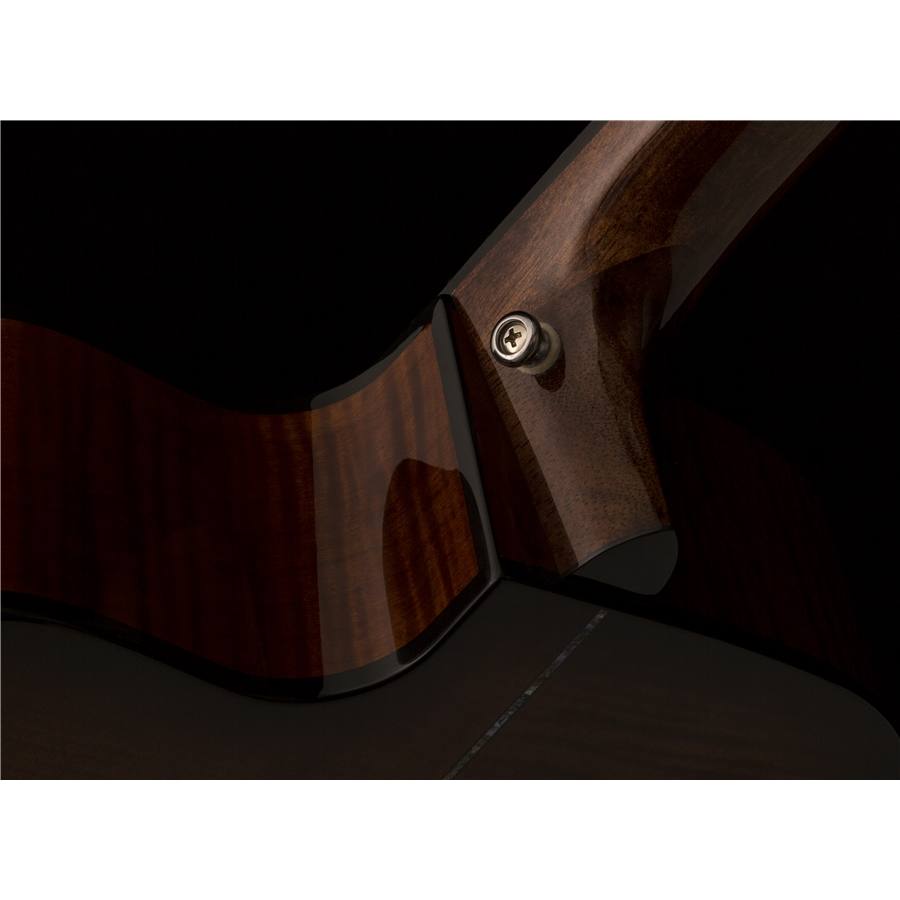 42-prs-se-a50e-black-gold-burst-24000135_4