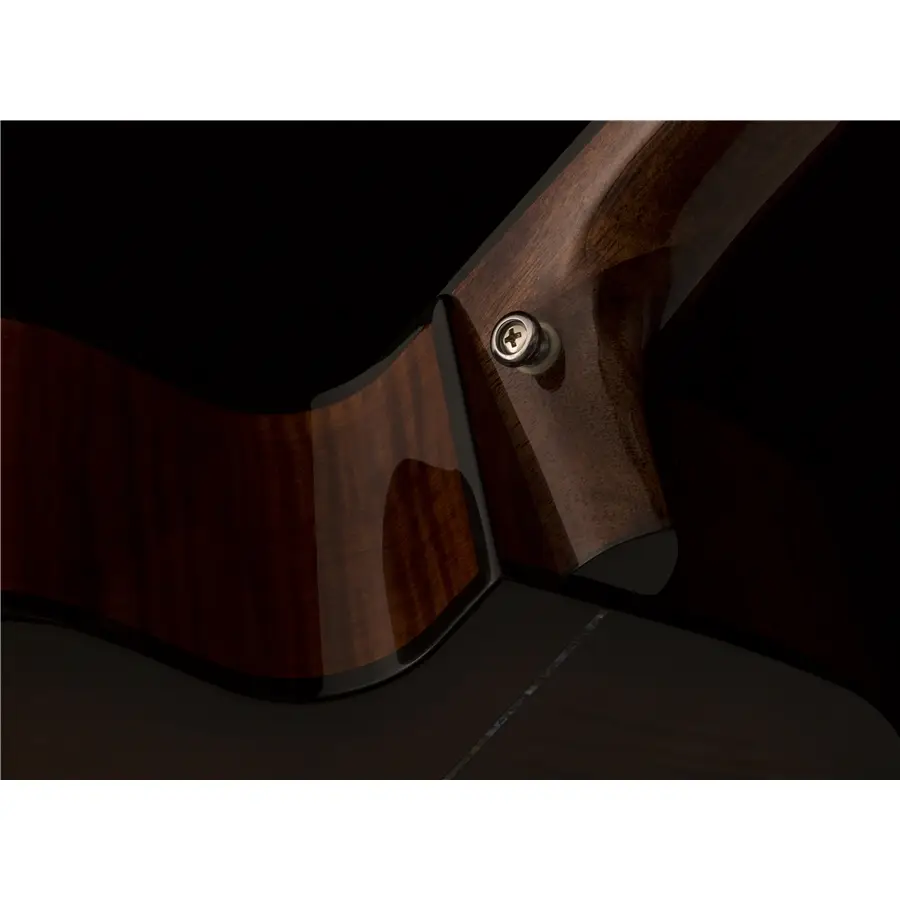 42-prs-se-a50e-black-gold-burst-24000135_4