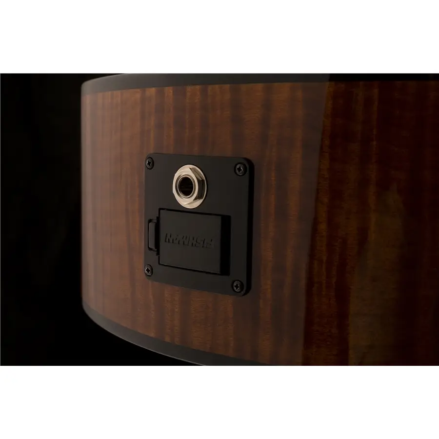 42-prs-se-a50e-black-gold-burst-24000135_5