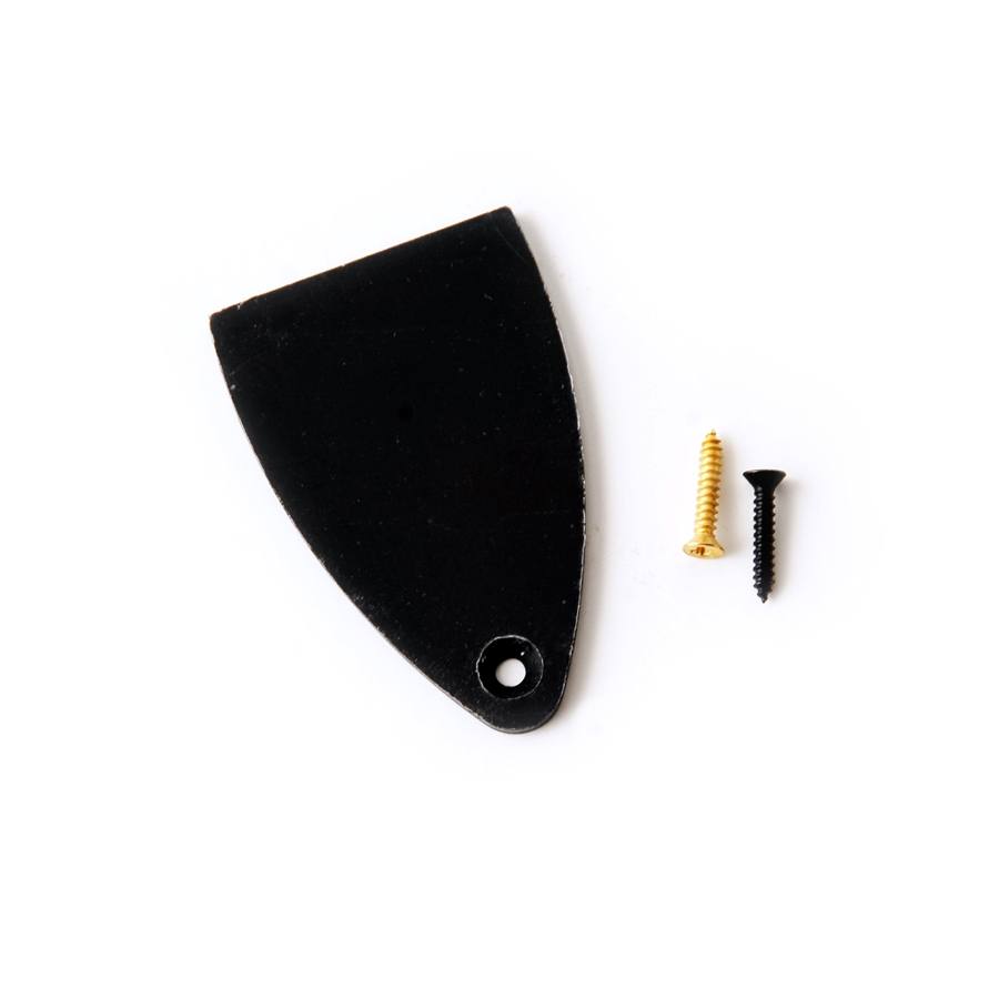 17004300 - Truss Rod Cover & Screws (101737:001:008:)
