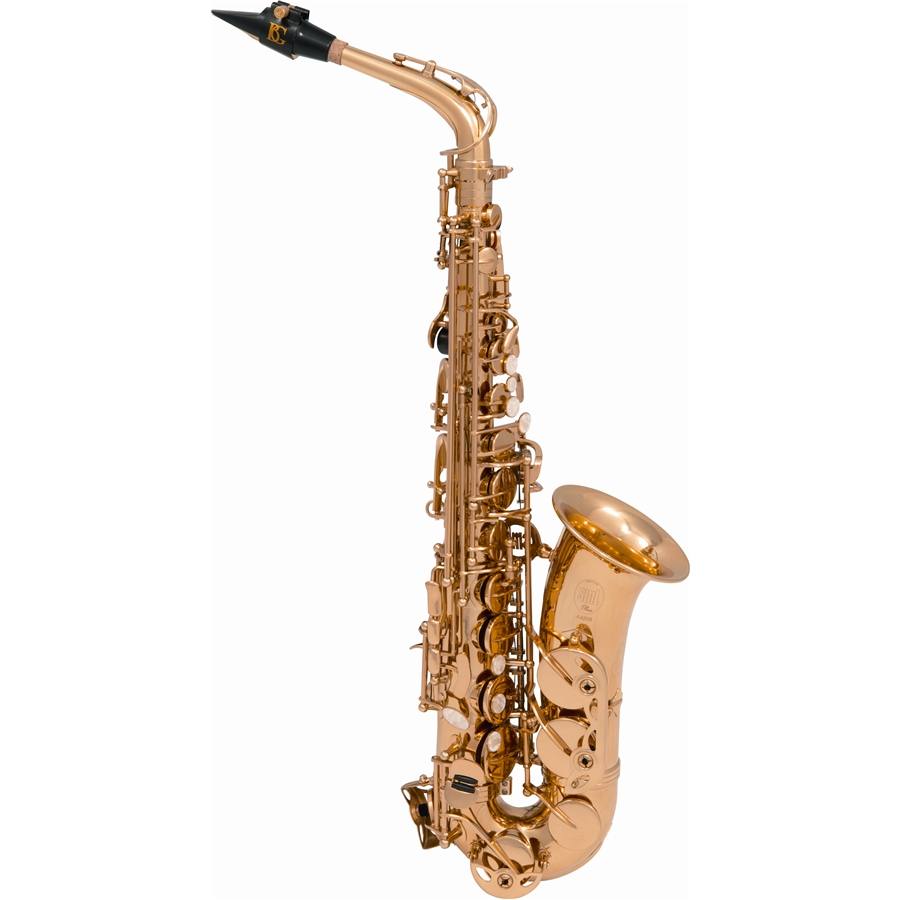 14600393 - VSM A420-II Sax 400 Contralto