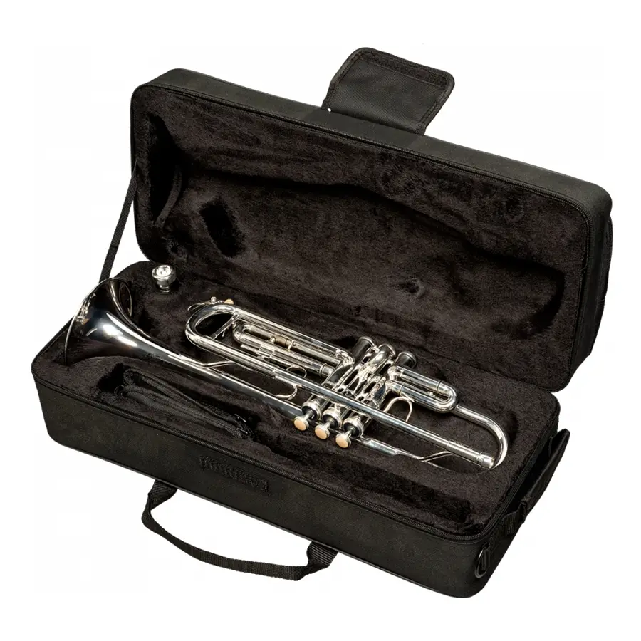 48-sml-paris-vsm-tp500s-tromba-in-si-b-debutant-14600437_2