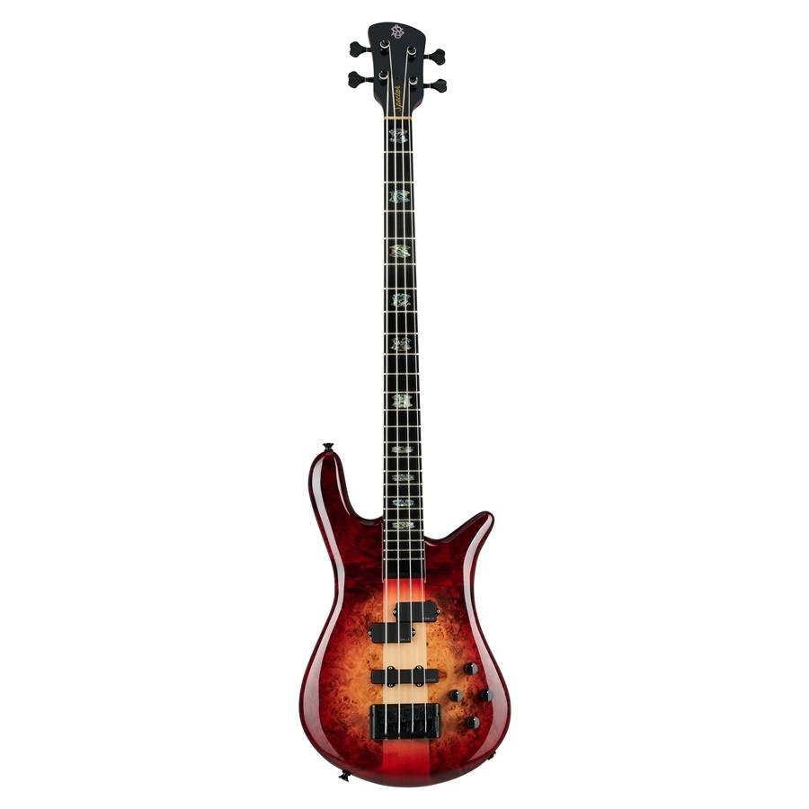 50-spector--18200267_0