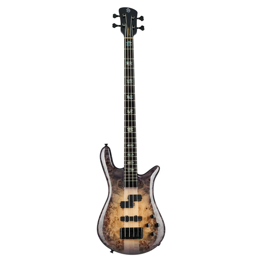 50-spector--18200268_0