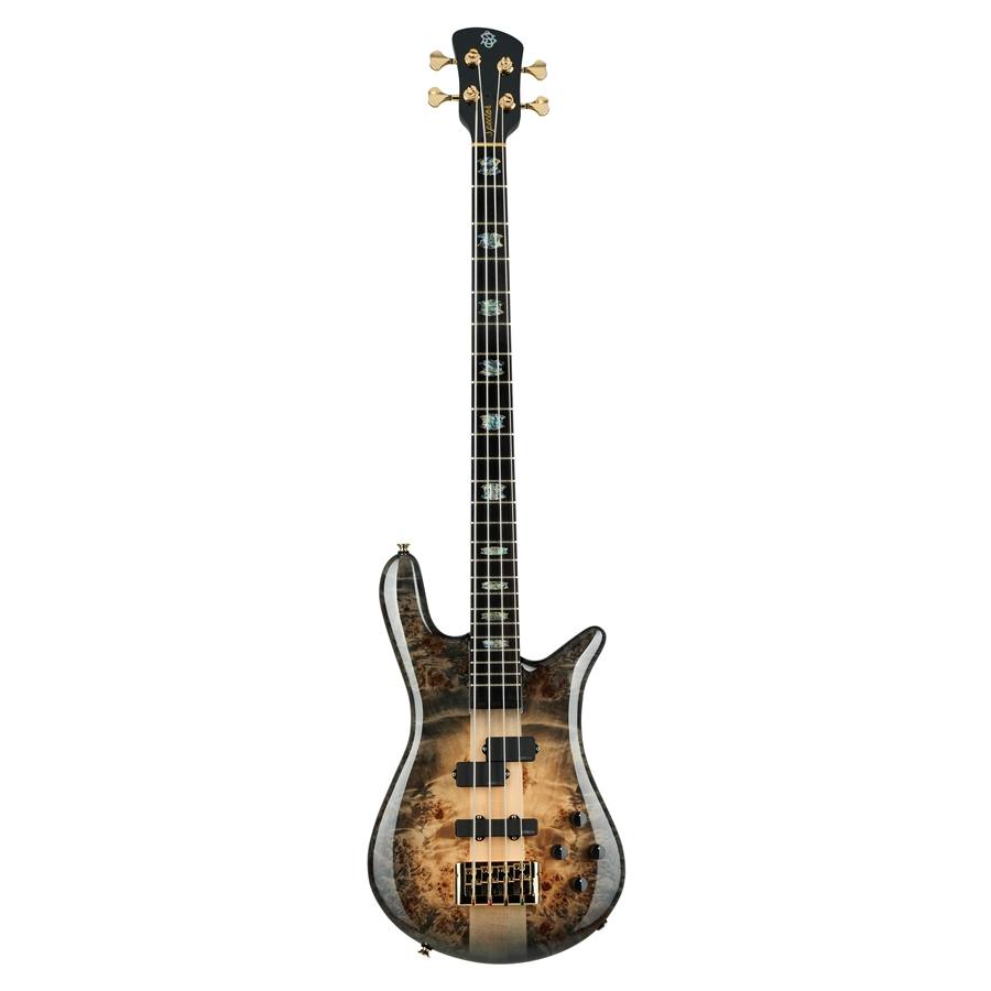 50-spector--18200269_0