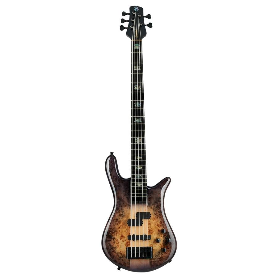 50-spector--18200272_0