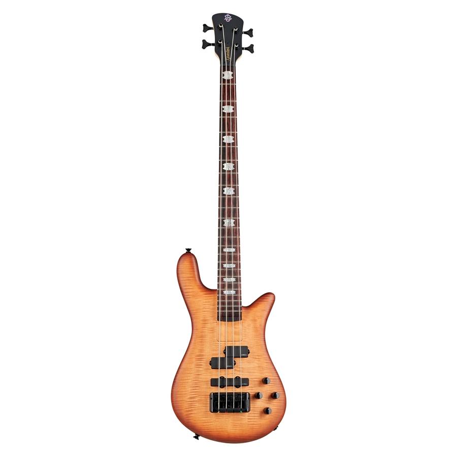 50-spector--18200276_0