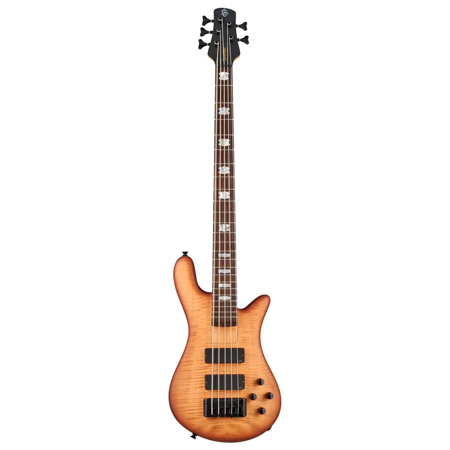 50-spector--18200280_0
