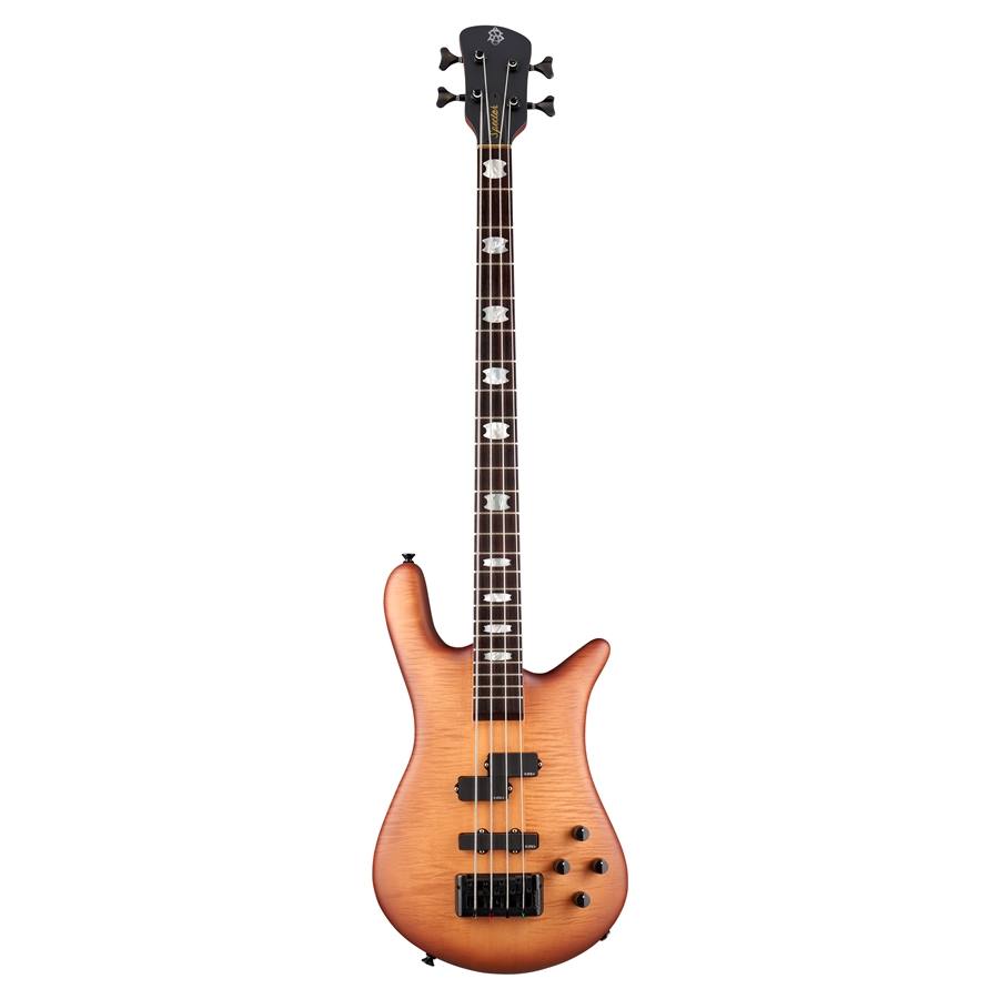 50-spector--18200284_0