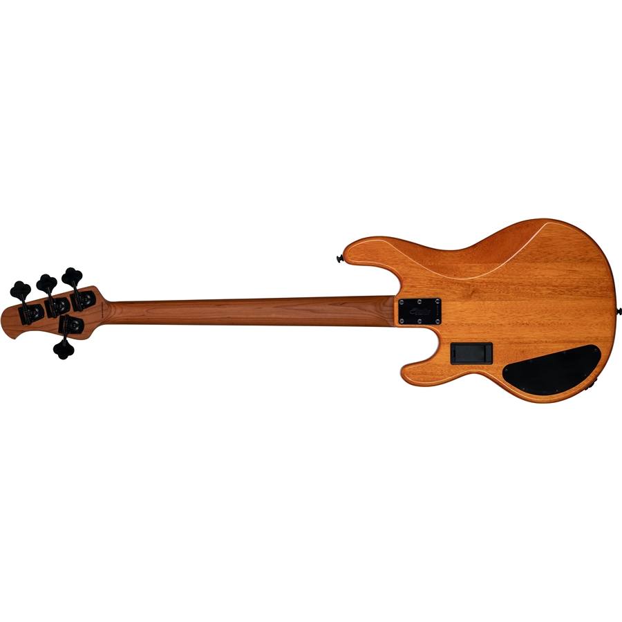 51-sterling-by-musicman-stingray-hh-ray34hh-poplar-burl-amber-st-ray34hhpb-am-r2_1