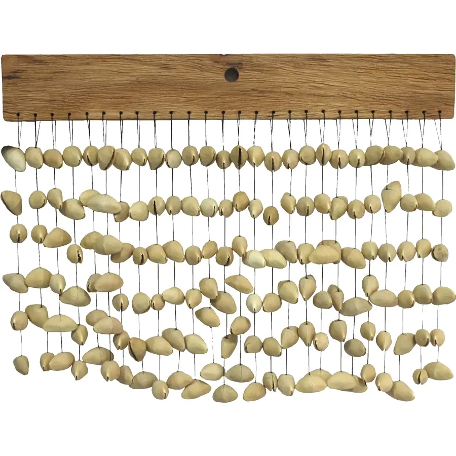 53-tanga-kenari-chime-chimes-composto-da-conchiglie-576317_0