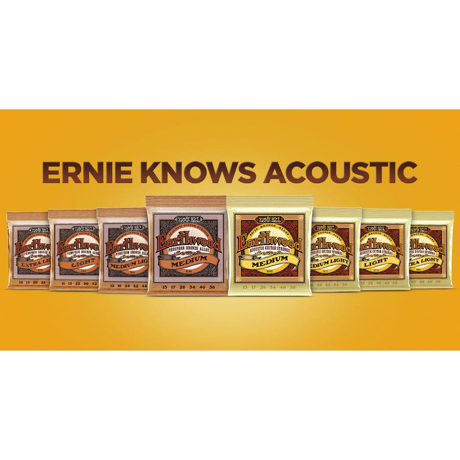 Earthwood corde per chitarra acustica by Ernie Ball