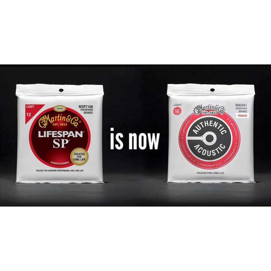 Martin & Co: Corde per Chitarra Authentic Acoustic Lifespan 2.0