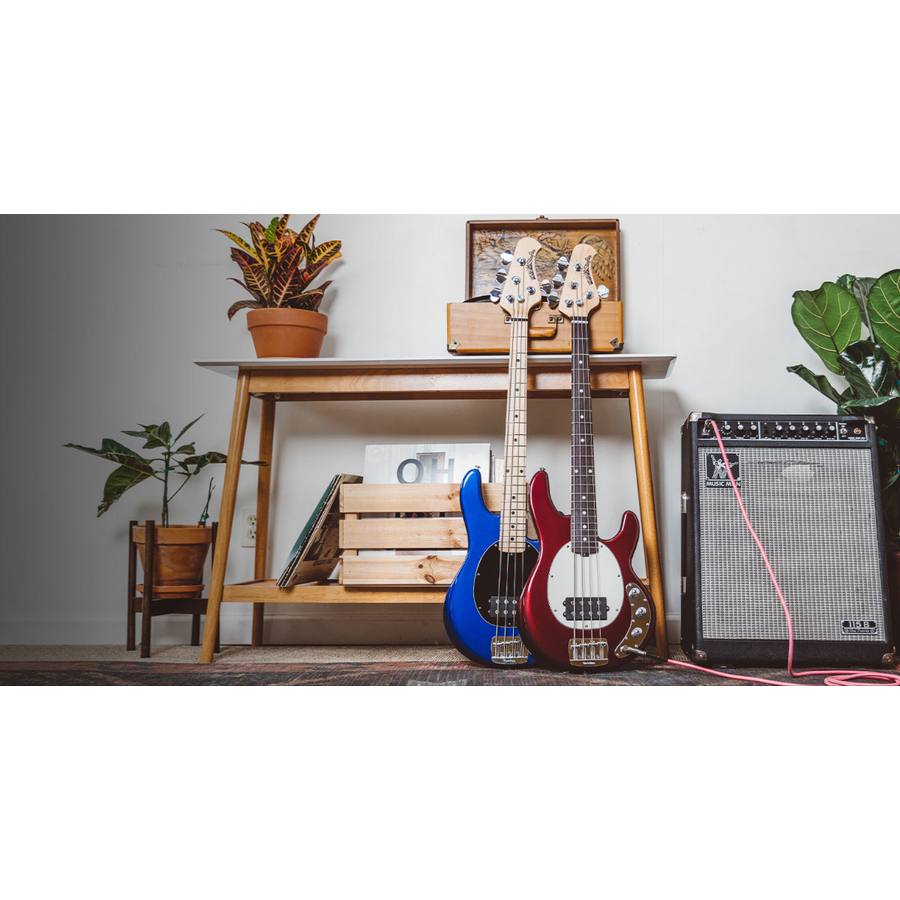Ernie Ball Music Man: Lo storico StingRay da oggi nella versione Short-Scale