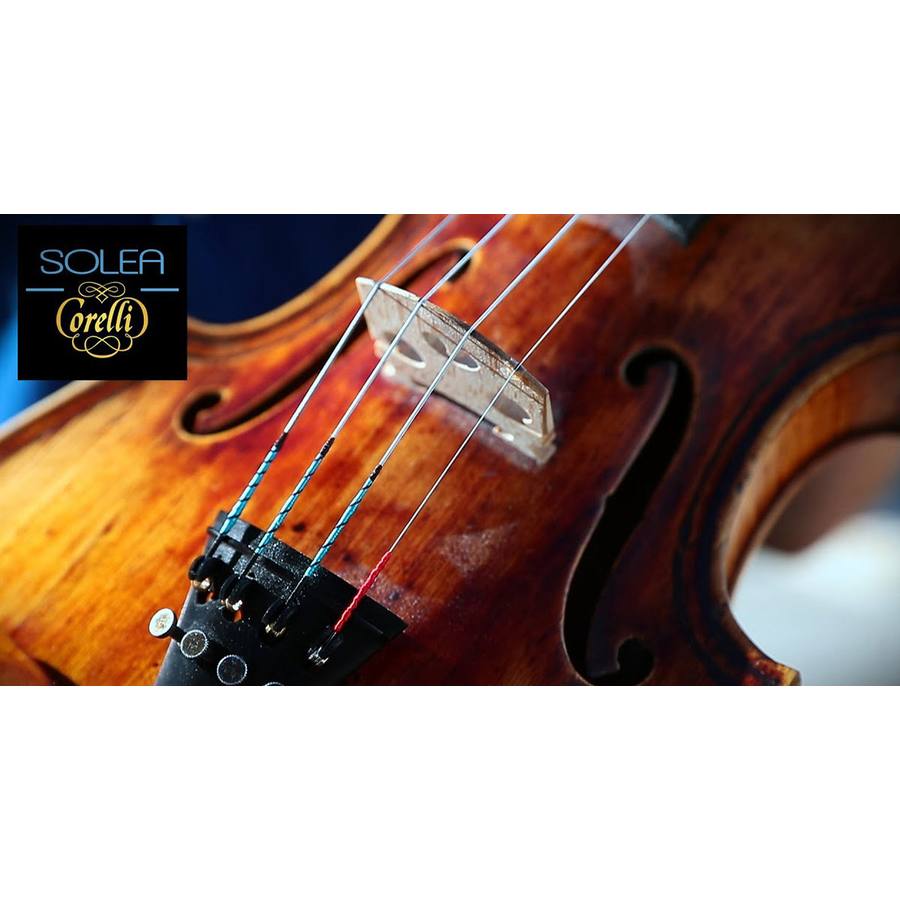 Savarez | Le Corde Professionali per Violino Solea Corelli