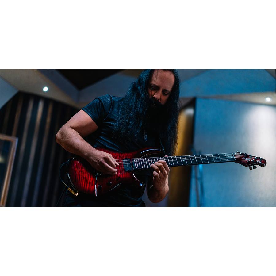 Le Majesty di Sterling by Music Man con pickup DiMarzio e Top figurato