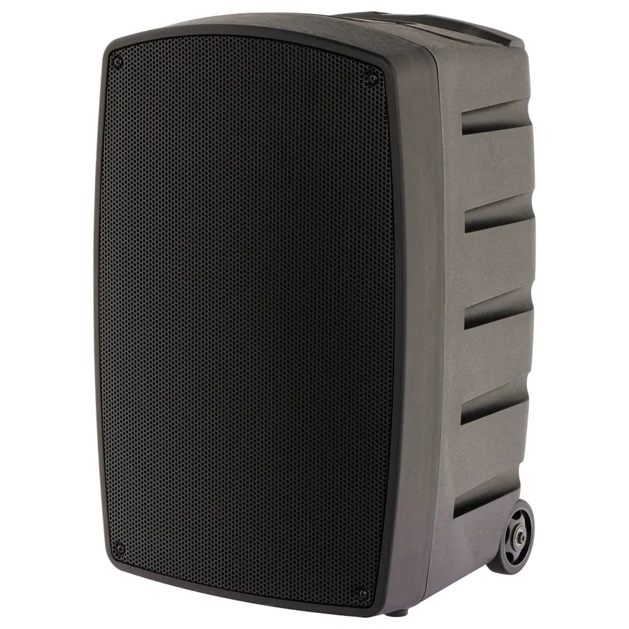 algam-audio-tr12-bt-altoparlante-portatile-a-batteria-con-2-microfoni-wireless-e-bluetooth-24600021-2