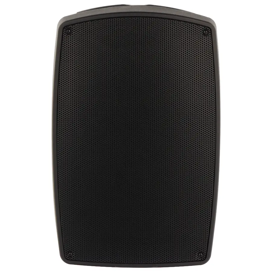 algam-audio-tr12-bt-altoparlante-portatile-a-batteria-con-2-microfoni-wireless-e-bluetooth-24600021-3