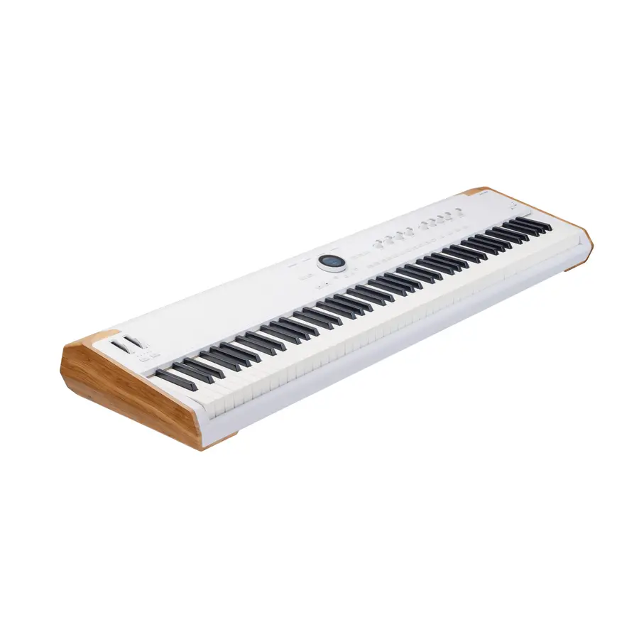 arturia-arturia-astrolab-88-da-modificare-13600059-2