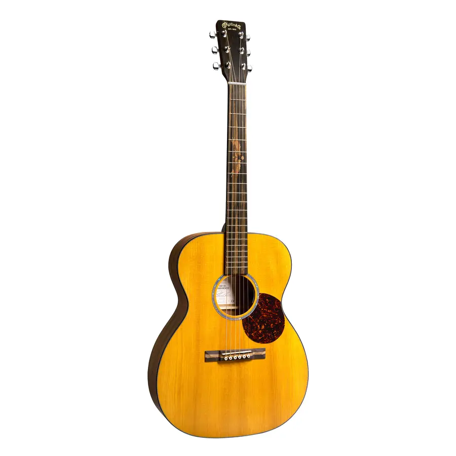 cf-martin-co-000-10e-shawn-mendes-06601535-0
