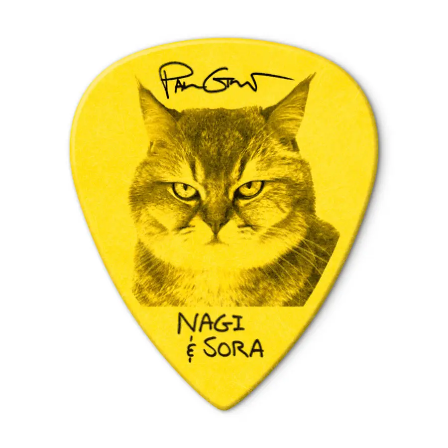 dunlop-pg462r-paul-gilbert-custom-tortex-tiii-073-mm-refill-bag-36-04509554-9