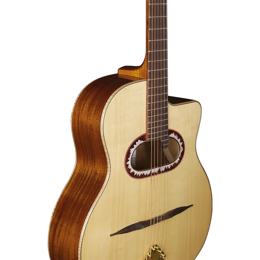 eko-guitars-alps-g450c-gipsy-06217162-2