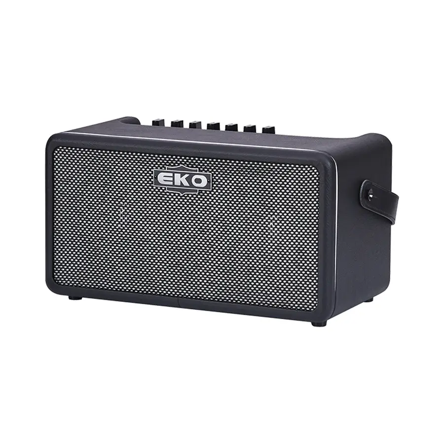 eko-guitars-eko-baio-amp-25-da-modificare-08150946-1
