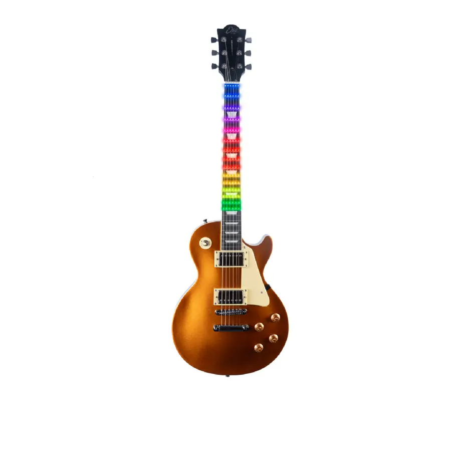 eko-guitars-ls-300-gold-visual-note-06100014-0
