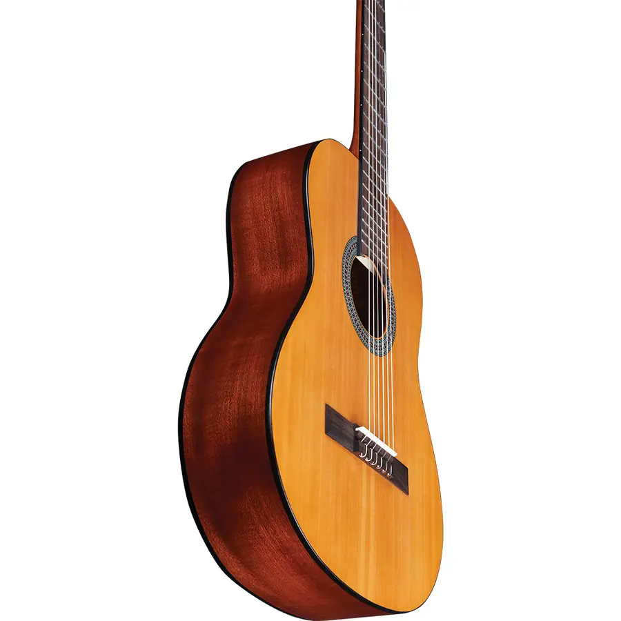 eko-guitars-vibra-100-satin-06130123-2