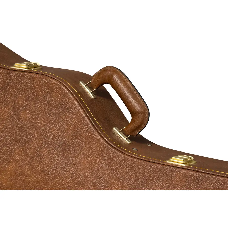 gibson-accessories-gibson-asdncase-org-dread-origin-case-da-modificare-16200050-1