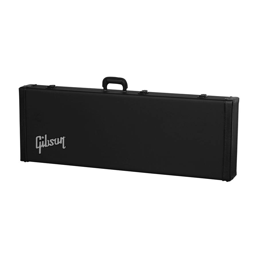 ASFBCASE-MDR Modern Hardshell Case Firebird Black