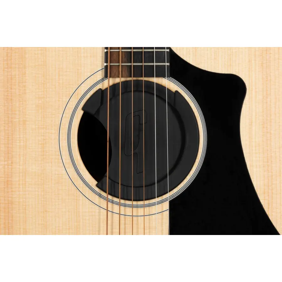 gibson-accessories-gibson-ga-fdbkspr2-tappo-buca-da-modificare-16200124-2