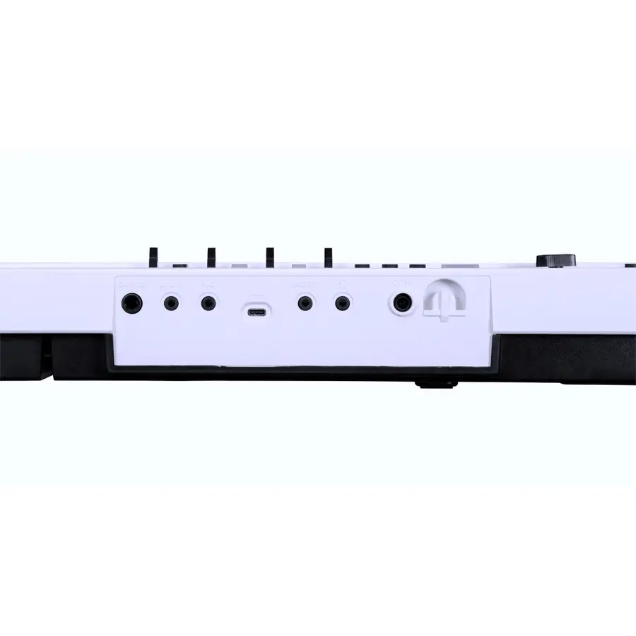 korg-korg-l1-live-da-modificare-c1280220259-1