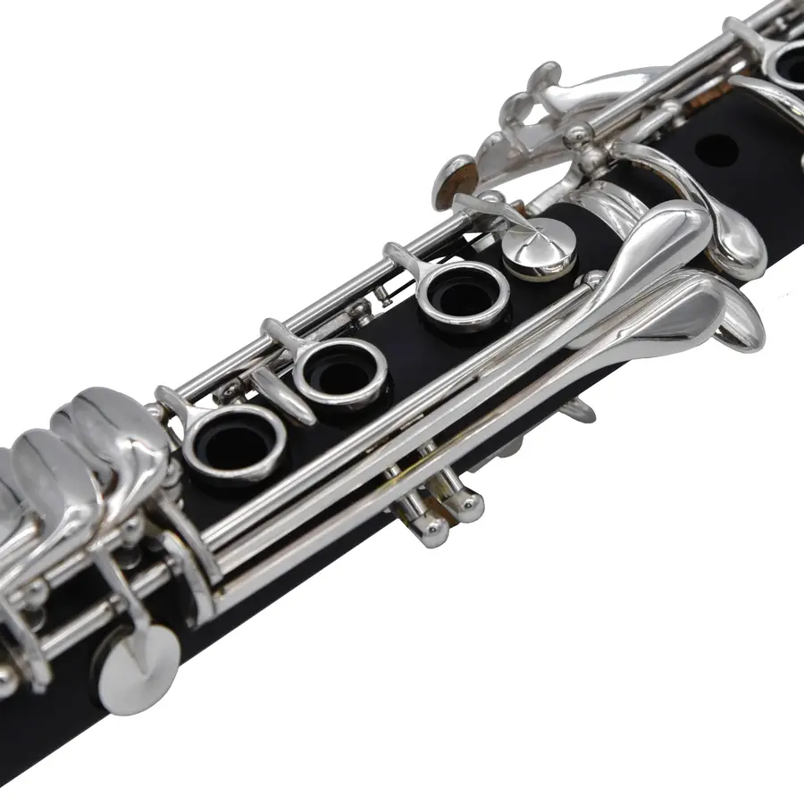 la-ripamonti-vrp-50-1r-clarsib176-boehm-da-modificare-14900000-4
