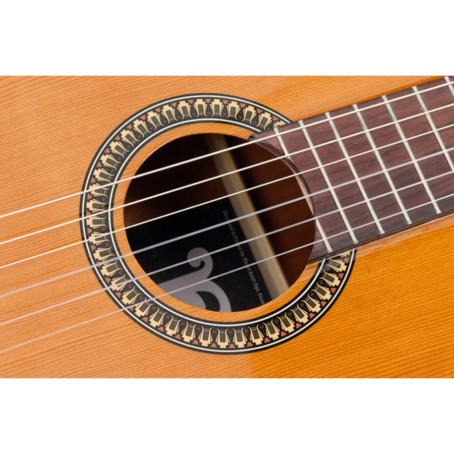 pleyel-gpl-p200-etude-class-guit-solid-top-da-modificare-01300007-3