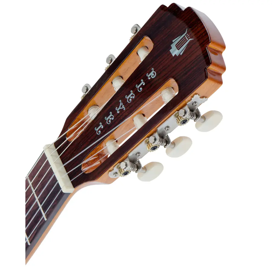 pleyel-gpl-p200-etude-class-guit-solid-top-da-modificare-01300007-4