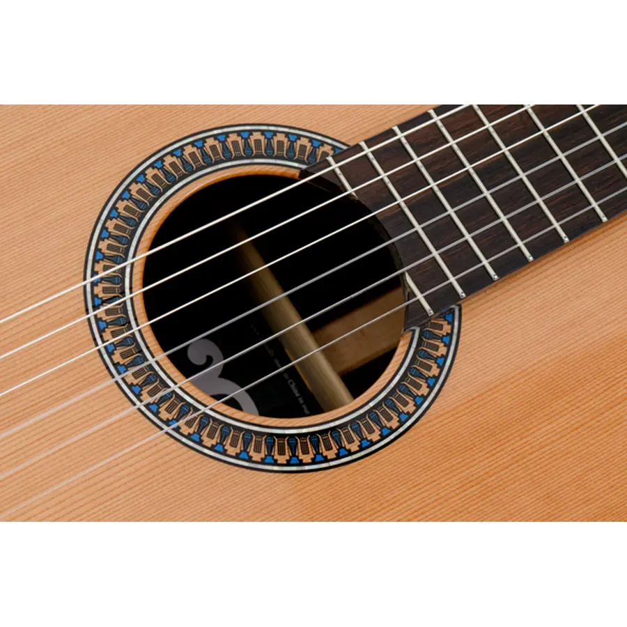 pleyel-gpl-p2000-exceptional-solid-cedarrosew-da-modificare-01300011-3