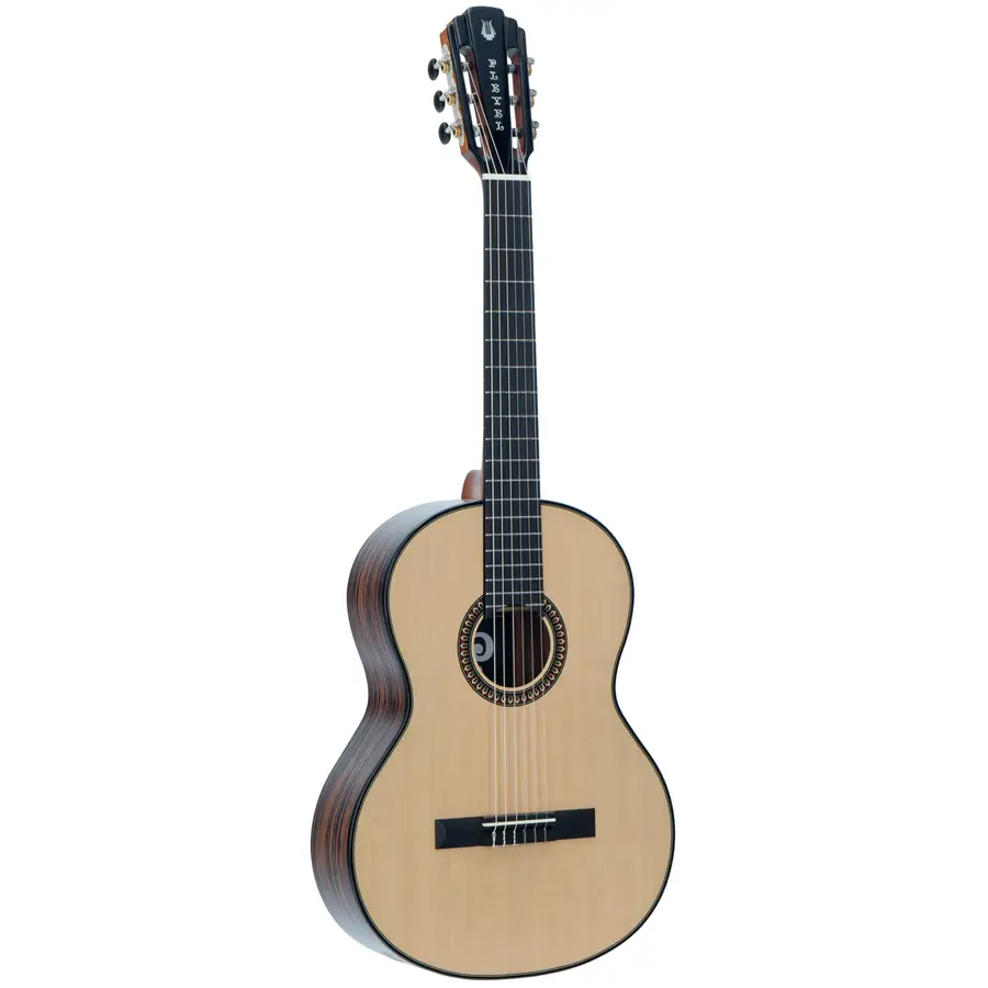 pleyel-gpl-p800-expression-class-guit-solid-top-da-modificare-01300008-0