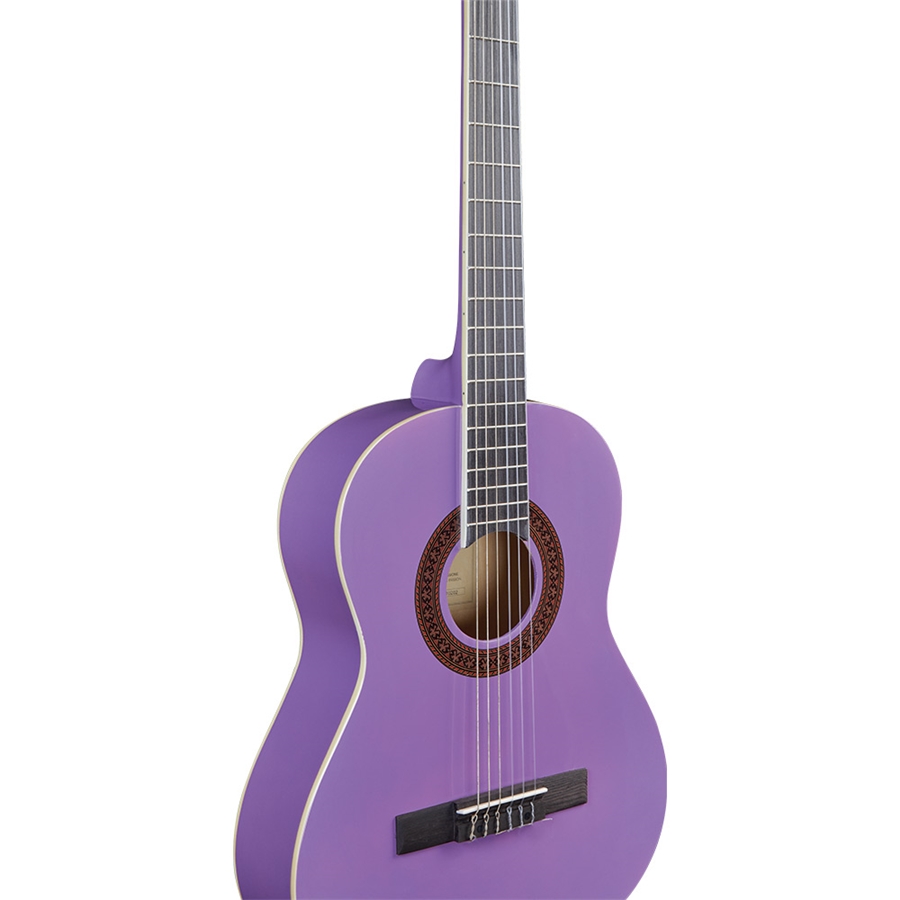 16-eko-guitars-cs-5-violet-06204107_2