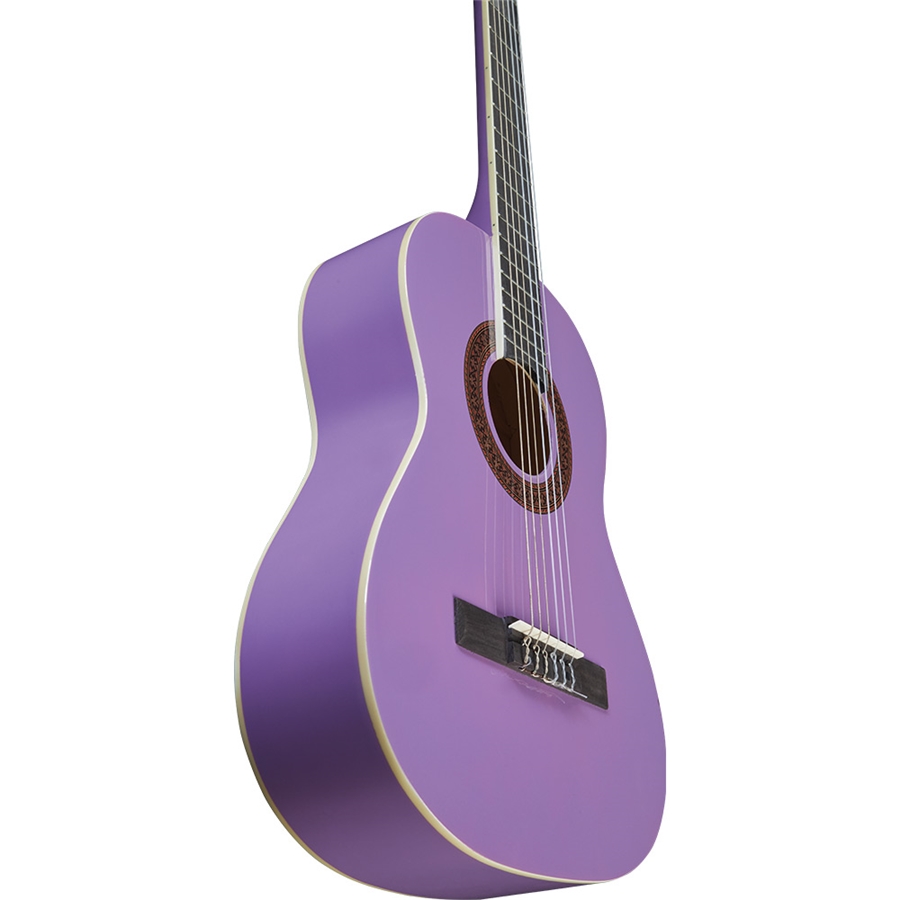 16-eko-guitars-cs-5-violet-06204107_3