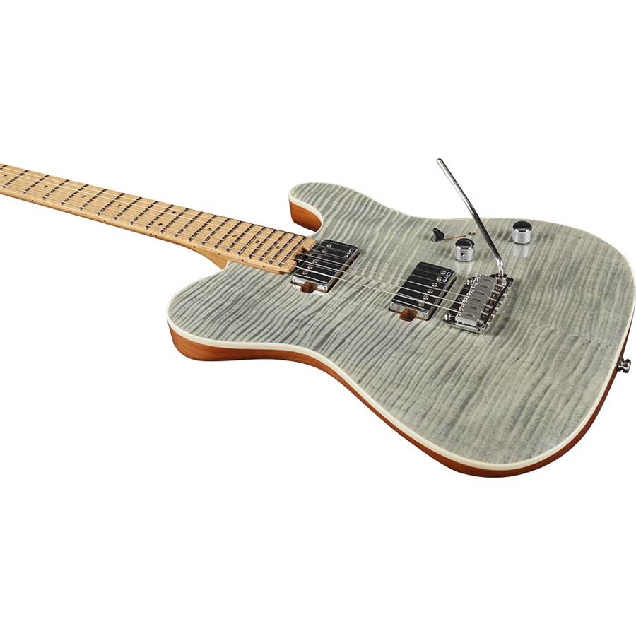 16-eko-guitars-tero-801-musa-grey-flamed-05134071_2