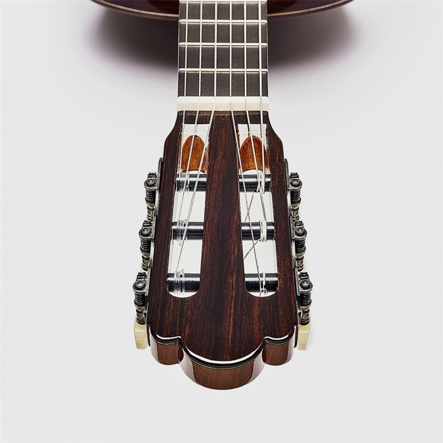 23-esteve-torres-chitarra-classica-06190136_2