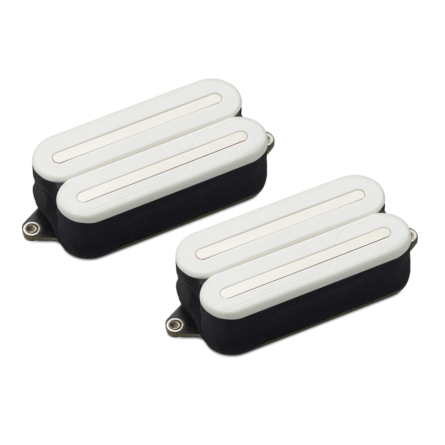 FISHMAN FLUENCE OPEN CORE MODERN HUMBUCKER SET/2 (PRF-MO6-SWN)