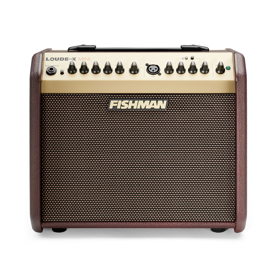 24-fishman-loudbox-mini-bluetooth-60w-pro-lbt-eu5-14301191_0