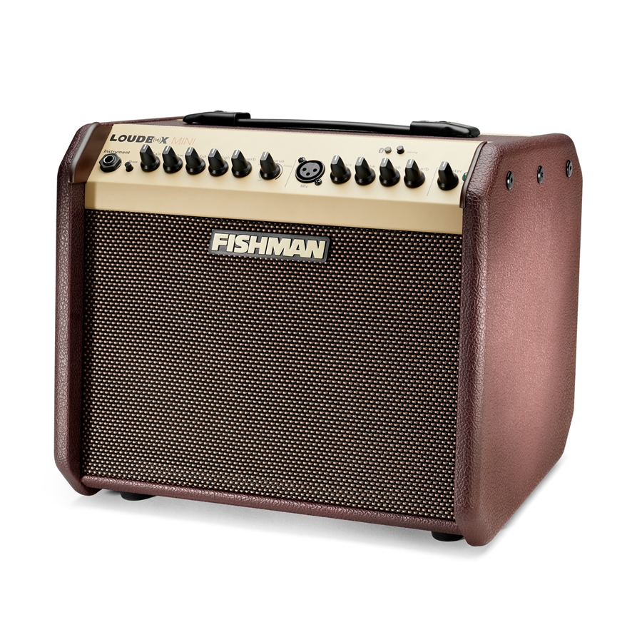 24-fishman-loudbox-mini-bluetooth-60w-pro-lbt-eu5-14301191_3