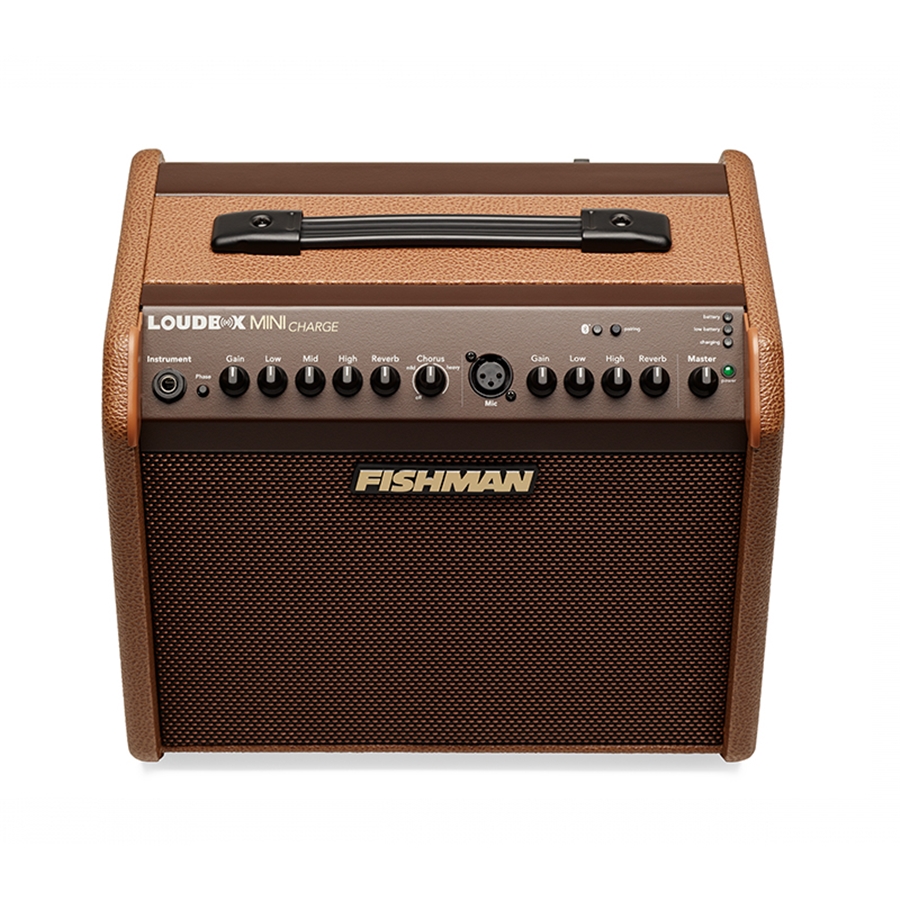24-fishman-loudbox-mini-charge-bluetooth-60w-pro-lbc-500-14301211_4