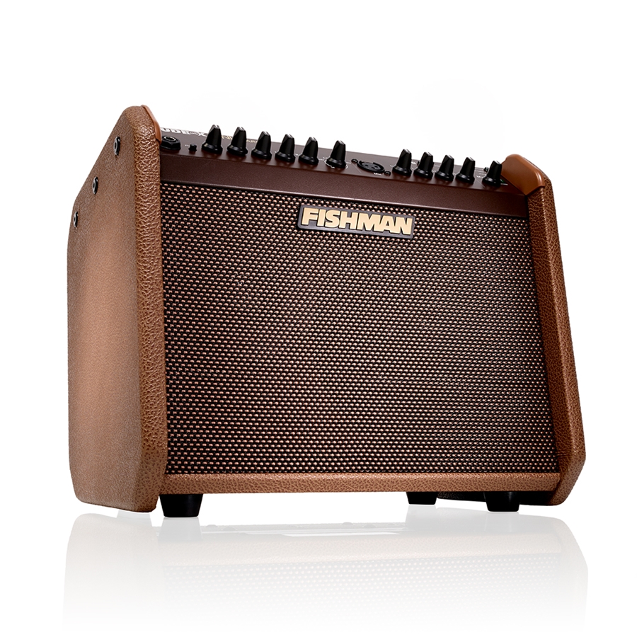 24-fishman-loudbox-mini-charge-bluetooth-60w-pro-lbc-500-14301211_5